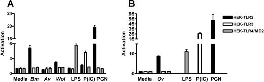FIGURE 1. Filarial extracts containing Wolbachia and isolated Wolbachia bacteria activate human cells via TLR2 but not TLR3 or TLR4. A, Human TLR-transfected HEK cell lines were stimulated with soluble extracts of adult Brugia malayi (Bm), Acanthocheilonema viteae (Av) worms, or isolated Wolbachia bacteria (Wol) from a mosquito cell line (Aa23) and activation measured by secreted human IL-8. Results displayed as a fold change in the response to ligand (peptidoglycan (PGN), poly(I:C) (p(IC)), and LPS) compared with medium alone. B, A separate experiment using Onchocerca volvulus (Ov) worms is shown. Results shown are representative (n = 6). (B. malayi: p < 0.001 for HEK-TLR2, p = 0.02 for HEK-TLR4; O. volvulus: p < 0.001 for HEK-TLR2; Wolbachia: p < 0.01 for HEK-TLR2 compared with medium alone). All other conditions showed no significant difference from background response (p ≥ 0.05). TLR control ligands activated the appropriate cell line as expected.