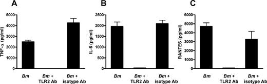 FIGURE 2. Inflammatory responses to Wolbachia-containing Brugia malayi extracts are completely blocked by pretreatment with a mAb directed against TLR2. Cytokine responses were measured by ELISA from supernatants of peritoneal macrophages (wild-type C57BL/6) stimulated with soluble extracts of adult B. malayi (Bm) worms (containing the Wolbachia endosymbiont). Before stimulation, the macrophages were pretreated for 30 min with a mAb directed against TLR2 (clone T2.5) or isotype control Ab. TNF-α (A), IL-6 (B), and RANTES (C) are shown. For all cytokines, preincubation with the anti-TLR2 Ab reduced responses to near undetectable (p < 0.001). Pretreatment with isotype control Ab showed no significant reduction from untreated responses (p ≥ 0.05).