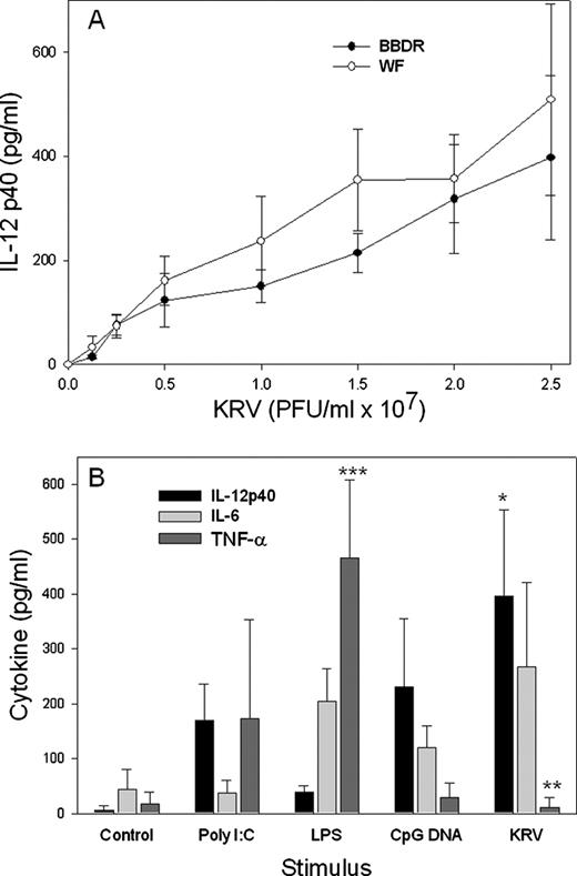 FIGURE 1. Production of IL-12p40, IL-6, and TNF-α by spleen cells cultured in the presence of KRV or TLR ligands. A, Spleen cells from BBDR or WF rats were incubated in the presence of varying concentrations of KRV for 18 h, and the concentration of IL-12p40 in the culture supernatant was determined as described in Materials and Methods. There were no statistically significant differences in the concentration of IL-12p40 measured at any time point. Data represent the mean ± SD of three independent measurements at each time point. B, Spleen cells from BBDR rats were incubated for 18 h in culture medium alone (“control”) or in medium containing (at final concentration) either LPS (1 μg/ml), CpG DNA (1 μg/ml), poly(I:C) (50 μg/ml), or KRV (2 × 107 PFU/ml). The concentration of IL-12p40, IL-6, and TNF-α in culture supernatant was then measured by ELISA as described in Materials and Methods. Each bar represents the mean ± SD of three or four independent measurements. ∗, p < 0.01 vs control and LPS. ∗∗, p < 0.001 vs LPS. ∗∗∗, p < 0.001 vs control. ANOVA revealed that no other paired comparisons were statistically significant.
