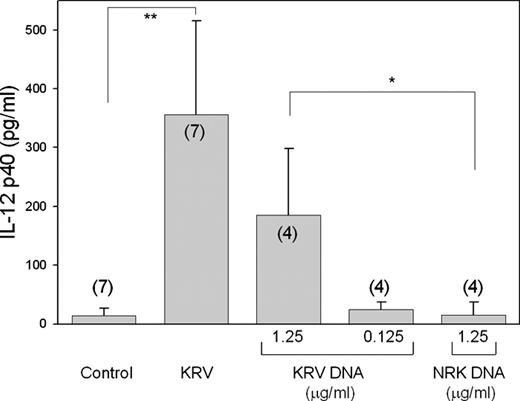 FIGURE 4. IL-12p40 production by spleen cells cultured in the presence of exogenous DNA. BBDR spleen cells were cultured for 18 h in culture medium (“control”) or in culture medium containing either infectious KRV (2 × 107 PFU/ml), DNA extracted from the supernatant of KRV-infected NRK cells, or DNA extracted from uninfected control NRK cells. The final concentration of DNA added to the cultures is given beneath the bars and the number of independent determinations is indicated in parentheses. The concentration of IL-12p40 in the supernatant was measured by ELISA. ∗, p < 0.05; ∗∗, p < 0.01.