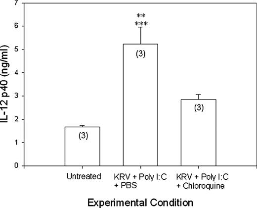 FIGURE 9. Serum concentration of IL-12p40 in BBDR rats. BBDR rats 22–25 days of age of either sex were randomized into three groups. Group 1 received no further treatment. Groups 2 and 3 were injected i.p. with 1 μg/g body weight poly(I:C) on days 0, 1, and 2 and then with 107 PFU of KRV on day 3. Group 2 received no further treatment. Group 3 was also injected i.p. with chloroquine (100 μg/g body weight) daily on days 3–6. On day 6, serum was collected and the concentration of IL-12p40 was measured by ELISA. Each bar represents the mean ± SD of three animals. ∗∗, p < 0.01 vs untreated controls; ∗∗∗, p < 0.001 vs each other group.