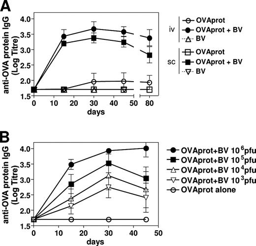 FIGURE 1. BVs enhance humoral response against coadministered Ag. A, C57BL/6 mice received a single i.v. or s.c injection of OVA protein, either alone or with BVs (106 PFU). Control mice received BVs alone. Individual sera were tested for OVA protein-specific IgG by ELISA. B, Mice received a single i.v. injection of OVA protein, either alone or in combination with different BV doses (106-103 PFU). A and B, Results are expressed as mean ± SEM (four to five mice).