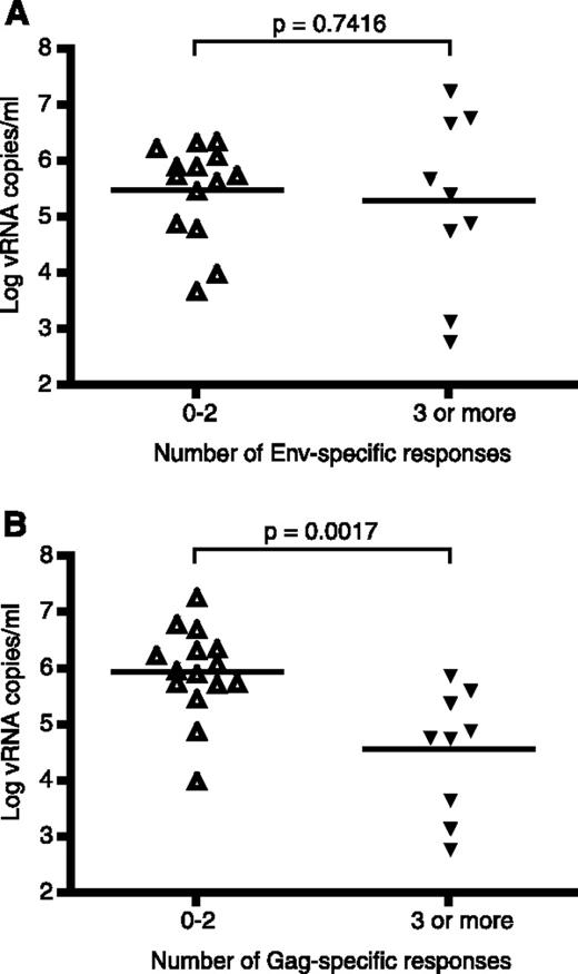 FIGURE 7. Multiple Gag-specific, not Env-specific, CD8+ T cell responses are linked with lower viremia in SIVmac239-infected macaques. Distribution of viral loads of 24 unvaccinated, SIV-infected rhesus macaques during the postacute phase according to number of responses (▵, zero to two responses, ▾, three or more responses) against the entire length of Env (A) or Gag (B). Values of p were generated through independent group Student’s t tests (n = 24).