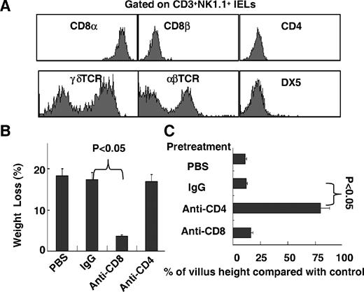 FIGURE 6. The role of CD8αα+ IELs in small intestinal injury caused by poly(I:C). A, IELs were prepared for flow cytometry analysis at 6 h post-poly(I:C) (5 μg/g wt) injection. CD3+NK1.1+ IELs were gated, and the surface expression of DX5, CD4, CD8α, CD8β, αβTCR, and γδTCR are shown. B and C, B6 mice were pretreated with indicated Ab 24 h before poly(I:C) (30 μg/g wt) injection. B, Thirty-six hours following poly(I:C) injection, the weight of mice was measured, and the percentage of weight loss (referring to the weight at 0 h) is shown (n = 5). C, Twelve hours following poly(I:C) and PBS injection, morphometric analyses of villus height (n = 3) are shown. Values in B and C are shown in means ± SEM from three independent experiments.