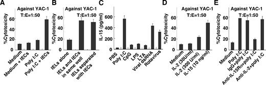 FIGURE 7. Poly(I:C)-enhanced cytotoxicity of IELs is dependent on IL-15 derived from IECs. A, Equal numbers of IECs and IELs were cultured in the presence of poly(I:C) for 24 h in vitro, and then IELs were isolated and used as effectors in the 51Cr release assay. B, IELs were placed in the lower compartment of a Transwell chamber (pore size, 0.4 μm; Corning Costar), whereas equal numbers of IECs were placed either in the same compartment or in the upper compartment. Cells were then incubated with poly(I:C) for 24 h and used as effectors in the 51Cr release assay. C, IECs were treated with poly(I:C) (100 μg/ml), CpG (100 μg/ml), LPS (1 μg/ml), LTA (10 μg/ml), viral dsRNA (25 μg/ml), or rotavirus for 48 h, and the supernatants were collected for measuring IL-15 by ELISA. D, IELs were cultured in the presence of IL-15 and IL-2 for 24 h and then used as effectors. E, Poly(I:C) was added to the cocultures of IELs and equal numbers of IECs in the presence of indicated Ab. After 24 h of incubation, IELs were isolated and used as effectors. Values in A–E are shown as means ± SEM from three independent experiments.