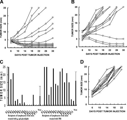 FIGURE 10. Protection against B16 tumor growth by the adoptive transfer of spleen lymphocytes from mice with treated tumors. A and B, Recipient mice were inoculated subcutaneously with 3 × 105 B16 cells and 24 h later received 40 × 106 lymphocytes from donors with B16 lesions injected twice with 1 mg of α-gal glycolipids (A) (n = 14) or PBS (B) (n = 14). Adoptive transfer was performed 1 wk after the second injection. C, Tumor size in the individual recipients on day 18 after adoptive transfer. Mean + SD is presented in the last column on the right in each group. D, Adoptive transfer performed in recipient WT mice receiving lymphocytes from WT donors with B16 tumors injected twice with 1 mg of α-gal glycolipids. The donors received three PKM immunizations before inoculation of the tumor as in KO mice (n = 14).