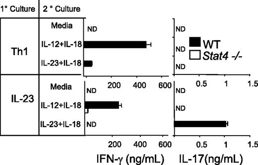 FIGURE 6. Stat4 is required for cytokine-induced IL-17 production. WT and Stat4−/− Th1 or IL-23-primed cultures were differentiated for 5 days as described in Fig. 5 (1° culture) followed by incubation for 24 h in the absence or presence of the indicated cytokine combinations. Cell-free supernatants were analyzed for IL-17 and IFN-γ using ELISA. ELISA data are presented as the mean ± SD and are representative of four experiments. ND, Not detected.
