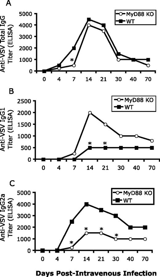 FIGURE 3. MyD88 KO mice produce more IgG1 isotype than IgG2a isotype but comparable levels of total anti-VSV IgG in response to VSV. Age-matched MyD88-deficient and WT control male mice were infected i.v. with 1 × 106 PFU of VSV. Serum samples were collected at different time points as indicated. The VSV-specific total IgG (A), IgG1 (B), and IgG2a (C) titers were determined by ELISA. Results are representative of two separate experiments (n = 4 for each group). ∗, p < 0.05.