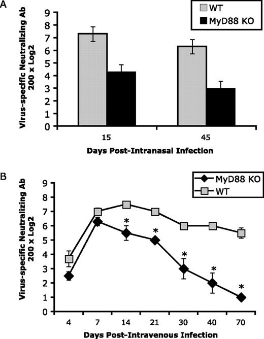 FIGURE 4. MyD88 KO mice have defective neutralizing Ab responses to VSV. Groups of age- and sex (male)-matched MyD88 KO and WT mice were infected intranasally (A) or i.v. (B) with 5 × 105 PFU or 1 × 106 PFU of VSV as described in Figs. 2 and 3. Serum samples were collected at different time points as indicated. The neutralizing Ab titers were measured by a neutralizing assay described in Materials and Methods.