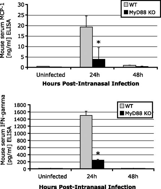 FIGURE 6. MyD88-deficient mice have defective MCP-1 and IFN-γ production in response to in vivo VSV infection. Age-matched MyD88 KO mice and WT male mice were intranasally infected with VSV. Serum samples were collected at the indicated time points. The levels of MCP-1 (A) and IFN-γ (B) in serum were measured by ELISA. Results are shown as picograms per milliliter (n = 4–6 per group). Results are representative of two separate experiments. ∗, p < 0.05.