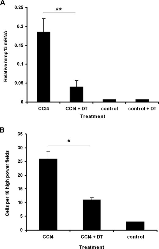 FIGURE 4. Conditional macrophage depletion curtailed mmp13 mRNA transcript production to a level consistent with the proportion of macrophages depleted after 12-wk CCl4 injury in CD11b-DTR-transgenic mice. A, Whole liver extracts were subjected to real-time RT-PCR for mmp13 transcript. Macrophage depletion after administration of DT resulted in a 5-fold reduction in mmp13 transcript level (p = 0.005; mean ± SE). mmp13 mRNA was normalized to GAPDH (n = 4 animals per treatment). B, The number of cells expressing mmp13 mRNA were also reduced by in situ hybridization (p = 0.014; mean ± SE).
