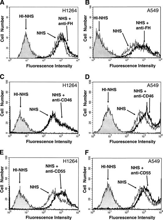 FIGURE 2. Deposition of C3 and C3-related fragments after stimulation of the classical pathway of complement in H1264 (A, C, and E) and A549 cells (B, D, and F). C3 deposition was determined by flow cytometry using a polyclonal Ab that recognizes C3 and C3-related fragments. Deposition was analyzed after incubation of the cells with NHS (diluted 1/8), HI-NHS, or NHS after blocking factor H (A and B), CD46 (C and D), or CD55 (E and F) with the corresponding neutralizing Abs (OX-24, GB-24, or BRIC110/226, respectively). Deposition is evidenced by an increase in intensity in the green channel.