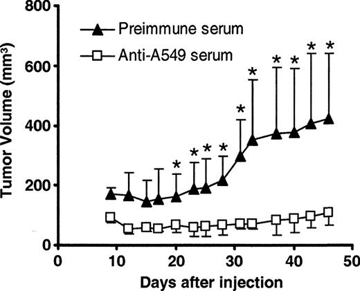 FIGURE 8. Effect of the down-regulation of factor H expression on the growth of A549 xenograft tumors after activation of the classical pathway of complement. The graph represents tumor volume (mean ± SD) of FH-siRNA A549 cells injected into athymic mice after preincubation of the cells with A549 antiserum or preimmune serum (four mice per group). Intratumoral injections of specific antiserum or preimmune serum were administered every 3 days throughout the experiment. ∗, p < 0.05; n.s., Not significant.