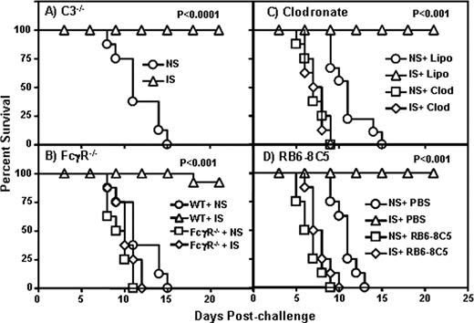 FIGURE 5. FcγR and phagocytes, but not complement, are required for Ab-mediated protection. Groups of 5- to 6-wk-old C3−/− mice (A), FcγR−/− mice (B), wild-type mice (C) treated with clodronate liposomes, or wild-type mice (D) depleted of neutrophils by RB6-8C5 anti-Gr1 mAb treatment (eight mice per group) were injected with 250 μl of either PBS, heat-inactivated normal serum (NS), or heat-inactivated immune serum (IS) by the i.p. route. Twenty-four hours later, the mice were challenged with 104 CFU of LVS by the i.n. route and survival was monitored for 3 wk. Statistical significance was determined by Kaplan-Meier log-rank test.