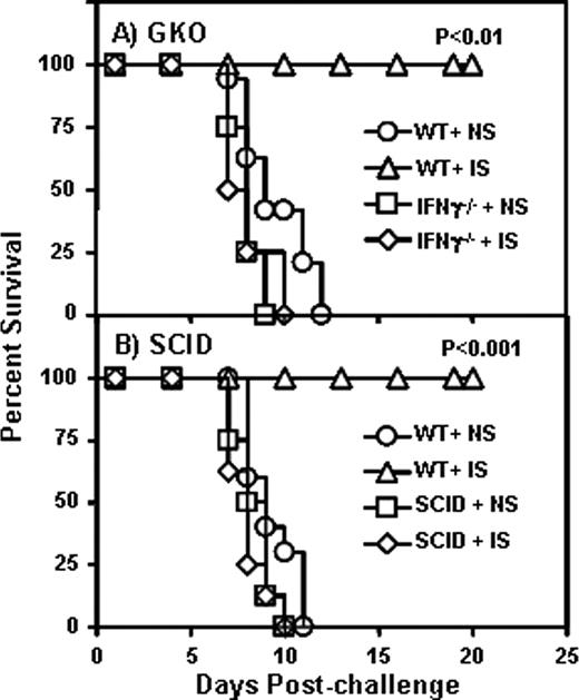 FIGURE 7. IFN-γ is required for Ab-mediated protection against LVS. Groups of 5- to 6-wk-old IFN-γ−/− mice (A) and SCID mice (B) (eight mice per group) were injected with 250 μl of either PBS, heat-inactivated normal serum (NS), or heat-inactivated immune serum (IS) by the i.p. route. Twenty four hours later, the mice were challenged with 104 CFU of LVS by the i.n. route and survival was monitored for 3 wk. Statistical significance was determined by Kaplan-Meier log-rank test.