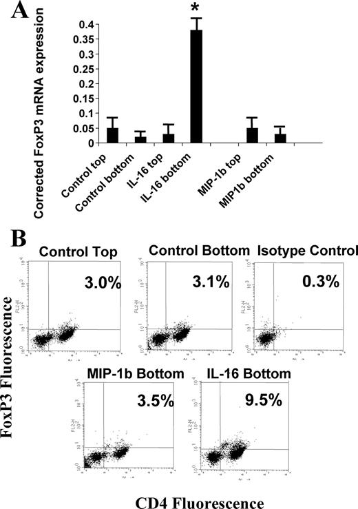 FIGURE 6. FoxP3 expression in IL-16- and MIP-1β-responsive cells. A, Following migration to IL-16 or MIP-1β (MIP-1b), responsive and nonresponsive T cells were assessed for FoxP3 mRNA by quantitative real-time PCR. The values expressed have been normalized to human β-actin message levels. The data represents the average values for six separate experiments. The asterisk (∗) denotes significantly different levels as compared with values obtained from control cells for each condition. B, Representative FACS plot for cells stained for surface expression of CD4 (x axis) and intracellular levels of FoxP3 protein (y axis). The pattern for FoxP3 expression in the panel labeled “Control Top” (3.0% CD4+FoxP3+ cells) was similar to the staining pattern observed for cells obtained from the top chamber following migration induced by both IL-16 and MIP-1β. The regions for CD4+ and FoxP3+ cells were established using isotype control Abs for both proteins.