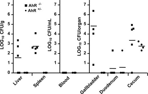 FIGURE 4. AhR−/− mice exhibited delayed clearance of L. monocytogenes. AhR−/− (▪) and AhR+/− (•) mice were injected i.v. with 8.2 × 102 CFU L. monocytogenes. On day 7 postinoculation, groups of 4 to 6 mice were euthanized and the numbers of viable L. monocytogenes in the indicated tissues were determined. Symbols represent log10 CFU/g for the liver and spleen, log10 CFU/ml for blood, and log10CFU/whole organ for the gallbladder, duodenum, and cecum in individual mice. The horizontal bars indicate the mean values for groups of mice. p < 0.05 for AhR−/− as compared with AhR+/− mice in the liver, spleen, and gallbladder. On day 14, L. monocytogenes was not recovered from any tissue of any mice (data not shown).
