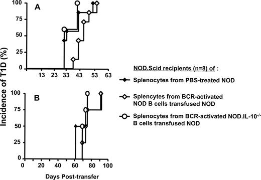 FIGURE 3. Transfusion of splenocytes from PBS-treated control NOD and NOD recipients of BCR-stimulated NOD or NOD.IL-10−/− B cells yields a similar incidence but different kinetics of onset of T1D in NOD.Scid recipients. A, Splenocytes (15 × 106) from PBS-treated NOD or NOD recipient of BCR-stimulated NOD or NOD.IL-10−/− B cells (n = 8) were prepared 5 days after the last treatment and transfused i.v. into 6- to 7-wk-old NOD.Scid mice. B, Splenocytes (5 × 106) from PBS-treated NOD or NOD recipients of BCR-stimulated NOD or NOD.IL-10−/− B cells (n = 8) were prepared 21 days after the last treatment and i.v. transfused into 6- to 7-wk-old NOD.Scid mice. The incidence of T1D was monitored by measurement of the BGL twice weekly starting at 2 wk (A) or 4 wk (B) posttransfer. The cumulative incidence of T1D was determined as a percentage of the total number of recipient mice that developed T1D at each time point.