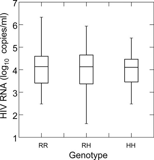FIGURE 2. FcγRIIa genotype is not associated with viral load set point (p = 0.8). Viral load set point was defined as HIV RNA copies/ml at ∼18 mo after seroconversion or after enrollment in MACS (for subjects who were seropositive on entry).
