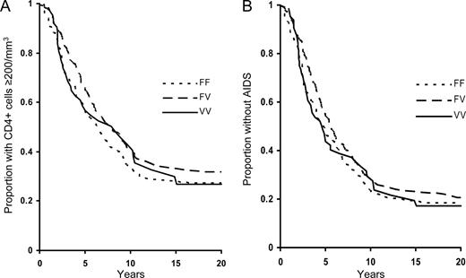 FIGURE 4. FcγRIIIa genotype does not predict progression to a CD4+ cell count <200/mm3 (n = 549, p = 0.3; A) or to AIDS (n = 555, p = 0.4; B).