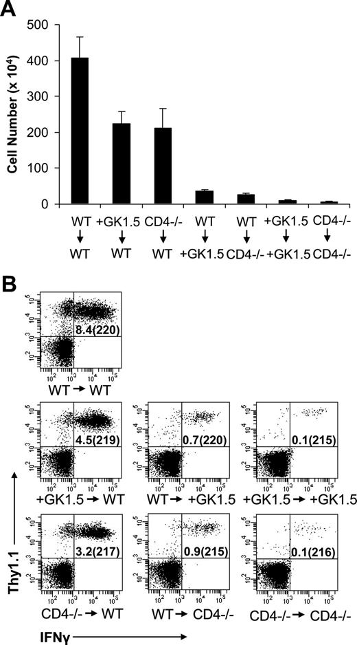 CD4 T Cells Are Required for CD8 T Cell Survival during Both Primary ...