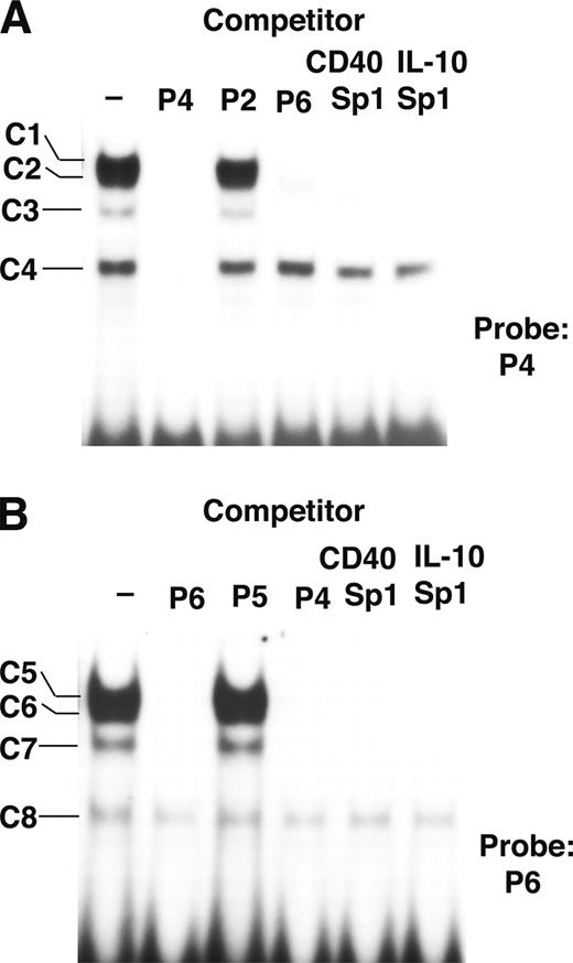 FIGURE 4. Binding of Sp1/Sp3 to the OX40 basal promoter. A, Competition assays performed using the P4 probe and a nuclear extract from EL4 cells with the indicated competitors. Complex formation with probe P4 (−) was inhibited with the indicated competitors. B, Competition assays performed using the P6 probe and a nuclear extract from EL4 cells with the indicated competitors.