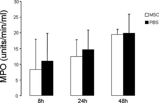 FIGURE 8. MSC did not decrease the number of neutrophils after endotoxin-induced ALI as determined by MPO activity. MPO activity was not significantly different between MSC- and PBS-treated mice at 8, 24, or 48 h after injury (n = 3–6 per group per time point). Data are expressed as mean ± SD.