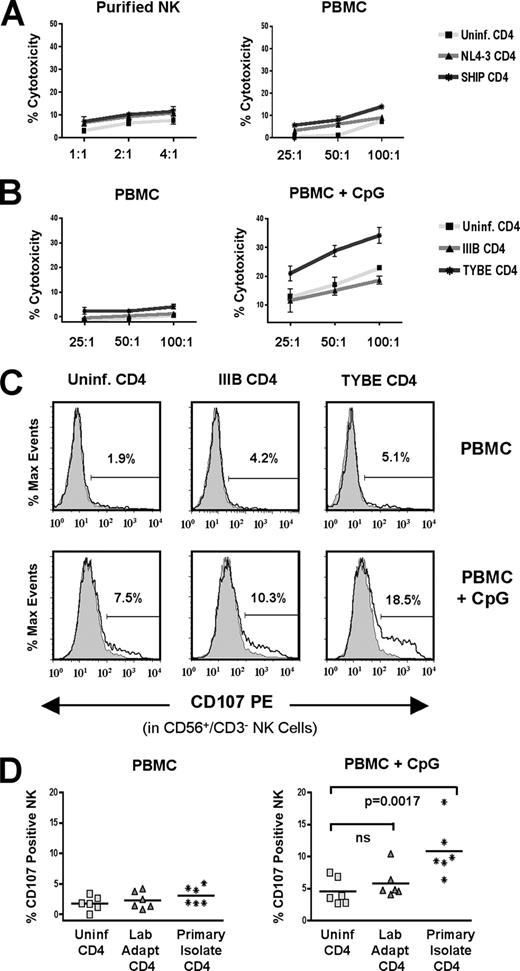 FIGURE 2. CpG stimulation of PBMC triggers lysis of HIV-1-infected autologous CD4+ primary T cells. A, NK cytotoxicity assay of purified NK cells (left) or PBMCs (right) incubated at increasing E:T ratios with autologous CD4+ primary T cells infected with NL4-3 or SHIP. B, NK cytotoxicity assay of unstimulated (left) or CpG-2216-stimulated PBMCs (right) incubated at increasing E:T ratios with autologous CD4+ primary T cells infected with IIIB or TYBE. All results are representative of a minimum of three independent experiments. C, CD107 degranulation was measured on CD56+/CD3−-gated NK cells following PBMC (unstimulated or CpG-2216-stimulated) incubation with HIV-1-infected or uninfected autologous CD4+ primary T cells for 4 h. Results shown are from incubations of effectors with uninfected (left), IIIB-infected (center), and TYBE-infected (right) autologous CD4+ primary T cells. Values represent percentage of CD56+/CD3−-gated NK cells staining positive for CD107 in the presence of targets (black, open histograms) compared with control cultures incubated in the absence of targets (gray, shaded histograms). D, Composite analysis of multiple donors showing CD107 degranulation results in CD56+/CD3−-gated NK cells following PBMC (unstimulated or CpG-2216-stimulated) incubation with autologous CD4+ primary T cells infected with laboratory-adapted or primary HIV-1 isolates. Results are inclusive of infections with IIIB, NL4-3 (laboratory-adapted), or SHIP, TYBE (primary isolate) HIV-1 strains. Values were calculated, as in C.