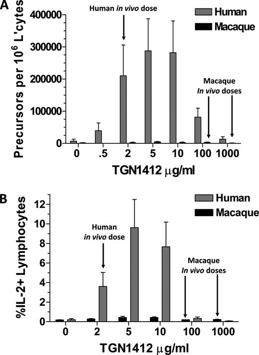 FIGURE 7. Dose responses of human and macaque lymphocytes to immobilized TGN1412. A, Proliferation of lymphocytes expressed as precursor frequency of responding cells per 106 lymphocytes after a 3-day incubation. Peak dose response for human lymphocytes was between 0.4 and 2 μg/well (2–10 μg/ml). For human proliferative responses, n = 8. For macaque proliferative responses, n = 8. The data were obtained in two independent experiments. B, Percentage of lymphocytes positive for IL-2 after a 6-h incubation. Peak dose response for human lymphocytes was between 0.4 and 2 μg/ml (2–10 μg/ml). For human IL-2 responses, n = 4. For macaque IL-2 responses, n = 4. Values are means and SEs of the means.