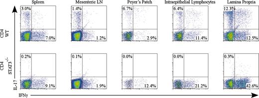 FIGURE 1. STAT3 is required in vivo for development of endogenous gut-associated TH17 cells. Lymphocytes from indicated tissues were harvested from WT or CD4 STAT3−/− mice and activated in vitro for 4 h followed by intracellular cytokine staining for IL-17 vs IFN-γ. Percentages represent frequency of CD4 cells that are IL-17+ (TH17) and IFN-γ+ (TH1) for indicated tissues.