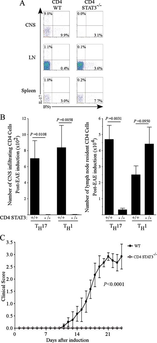 FIGURE 2. STAT3 expression in CD4 T cells is required for EAE induction. EAE was induced in WT mice (n = 9) or CD4 STAT3−/− (n = 5) mice by immunization with MOG peptide and CFA. On day 22, lymphocytes were harvested from CNS (spinal cord), draining lymph node (LN), and spleen. A, Percentages represent frequency of CD4 cells that are IL-17+ (TH17) and IFN-γ+ (TH1). B, Absolute number of CD4 infiltrating the CNS (left) or lymph nodes (right). C, Clinical disease score.