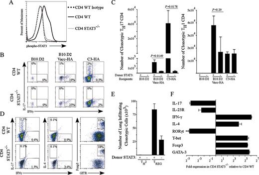 FIGURE 3. STAT3 is required for the development of TH17 cells in an autoimmune pneumonitis model. Naive HA-specific Thy1.1+ TCR transgenic CD4 T cells from either STAT3 WT or CD4 STAT3−/− backgrounds were transferred into Thy1.2+ C3-HA recipients expressing HA in the lungs. Lung-infiltrating lymphocytes were harvested on day 4. In addition, naive HA-specific Thy1.1+ TCR transgenic CD4 T cells from either WT or CD4 STAT3−/− backgrounds were transferred to nontransgenic (B10.D2) hosts and infected with recombinant vaccinia expressing HA (Vacc-HA). Donor cells (CD4+Thy1.1+) were analyzed for phospho-STAT3 expression (C3-HA recipients) (A) and cytokine expression (B–E) by intracellular staining. B, FACS analysis showing percentage of lung-infiltrating CD4 T cells. C, Absolute number of lung-infiltrating donor-derived TH1 and TH17 cells. D and E, Analysis of C3-HA lung-infiltrating donor-derived TH2 and TREG cells by intracellular staining for IL-4 and Foxp3, respectively. D, Representative FACS analysis. E, Summary data for n = 5 animals/group (mean ± SEM). F, RT-PCR analysis of C3-HA lung-infiltrating donor-derived cells, recovered by high-purity (>95%) FACSort, for cytokines, receptors, and transcription factors specific for TH1, TH2, TH17, and TREG subtypes. Reactions were performed in triplicate for n = 5 pooled animals/group (mean ± SEM).