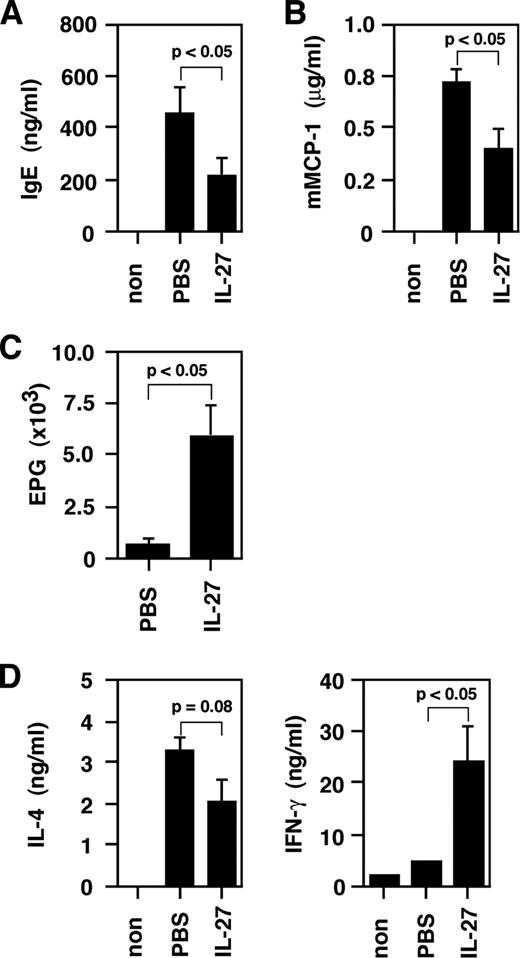 FIGURE 4. IL-27 inhibits S. venezuelensis-induced Th2 responses. C57BL/6 mice were inoculated with 5000 S. venezuelensis L3 on the first day of experiment. Mice (five per group) were daily i.p. injected with PBS or IL-27 (1 μg/day) during the first 7 days after infection. Serum levels of IgE (A) and mMCP-1 (B) and the number of eggs per gram of feces (C) at day 10 after infection were measured. D, Draining mesenteric lymph node cells from each group of mice were harvested at day 11 after infection. Cell suspensions were cultured at 1 × 105/0.2 ml per well under stimulation with immobilized anti-CD3 and anti-CD28 (each 5 μg/ml). After 48 h of culture, supernatants were harvested and tested for IFN-γ and IL-4 production by ELISA. Results are geometric means + SEM of five animals per group and are representative of three independent experiments. Statistical differences between samples were determined using Student’s t test.