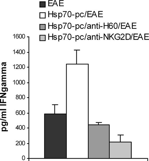 FIGURE 5. Hsp70-pc-induced high IFN-γ production was abolished with anti-H60 Ab or anti-NKG2D (CX5) mAb treatment. Mice preinjected twice with Hsp70-pc were given anti-mouse H60 Ab or anti-mouse NKG2D Ab on the day of PLP139–151 immunization. SC were isolated, cultured, restimulated with PLP139–151 and supernatants collected after 72 h. IFN-γ production was measured by ELISA. Bars, Mean ± SD from three experiments and five to eight animals per group.