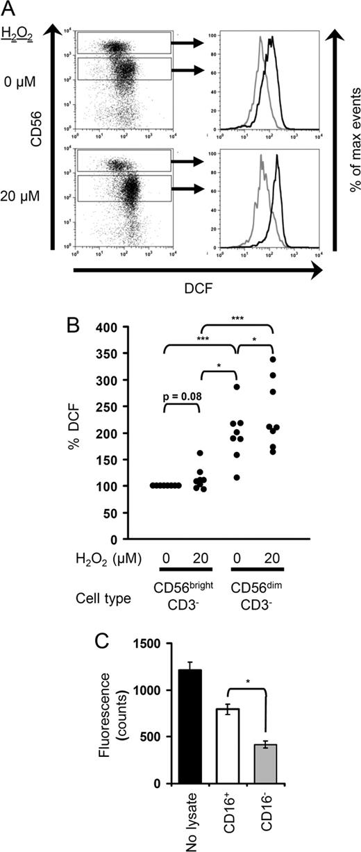 FIGURE 5. Intracellular oxidative levels are higher and antioxidant capacity is lower in CD56dim NK cells as compared with CD56bright NK cells. A, NK cells were isolated, labeled with CM-H2DCFDA, and cultured in the presence or absence of 20 μM H2O2 for 30 min. Cells were stained for CD56 expression. DCF levels among gated CD56dim (black line) and CD56bright (gray line) cells are shown to the right. B, Purified NK cells or total PBMC were labeled with CM-H2DCFDA and cultured in the absence or presence of 20 μM H2O2 for 30 min. DCF levels among untreated and treated cells are shown. Data from eight independent experiments are shown, along with p values for the differences between the various groups. C, NK cells were purified and separated into CD16+ and CD16− fractions. Equal numbers of cells were pelleted and lysed. The ability of the lysate to prevent H2O2-dependent oxidation of substrate was determined. Oxidation is proportional to fluorescence in this assay. Results from one representative experiment of four are shown.