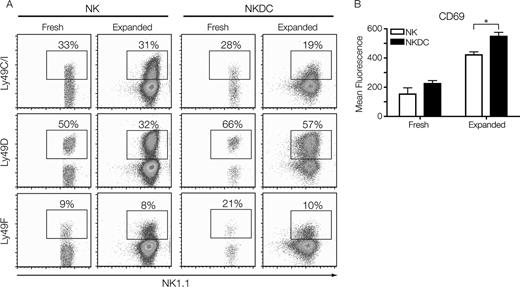FIGURE 3. Exogenous IL-15 activates NKDC. Cell surface expression of Ly49 markers (A) and CD69 (B) are shown for fresh and day 9 in vitro IL-15-expanded NKDC and NK cells. The experiments were performed a minimum of three times with similar results. ∗, p < 0.05.