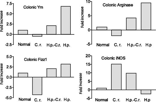 FIGURE 3. Detection of alternatively and classically activated macrophages in colonic tissues. Colonic tissues were collected (2 wk after bacterial infection) from various groups. Total RNA was isolated. Gene expression for alternatively activated (Arg1, Fizz1 and Ym1) and classically activated macrophages (iNOS) of colonic tissues was determined using real-time RT-PCR. Values are the fold increase compared with baseline obtained from uninfected control mice. The data shown are from one of two experiments performed showing similar results. H.p., H. polygyrus; C.r., C. rodentium.