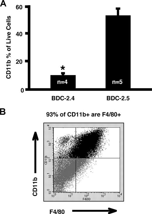 FIGURE 1. Macrophage recruitment to the pancreas by a pathogenic vs a nonpathogenic T cell clone. A, The percentage of CD11b+ cells (macrophages) in the pancreas was assessed at 6 to 7 days after transfer of a pathogenic T cell clone, BDC-2.5, or a nonpathogenic control, the Th1 T cell clone, BDC-2.4. Macrophage infiltration could be detected as early as 2 days after T cell clone transfer, but was considered optimal at 6 days. Because recipient mice start becoming diabetic at about 1 week after transfer, we did not go out to further time points. After removal and digestion of pancreata, cells were stained for the CD11b macrophage marker and analyzed by flow cytometry. Cumulative data from two separate experiments was used for the bar graph, and error bars represent SEM from 4 to 5 mice for each clone. ∗, p = 0.00015 × 2-tailed t test. B, F4/80 vs CD11b surface staining on pancreatic single-cell suspensions after transfer of BDC-2.5.