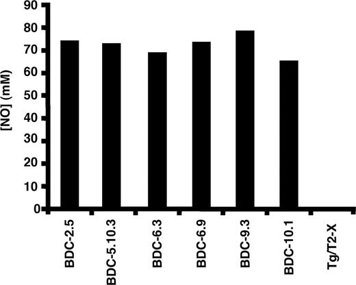 FIGURE 4. NO production by macrophages stimulated by diabetogenic T cell clones. Resting T cells (8 × 104) were cultured for 48 h in the presence of freshly isolated NOD thioglycolate-elicited peritoneal exudate cells (5 × 104) as APC and 10 μg of a membrane preparation from β tumor cells as Ag. As a measure of macrophage activation, nitrite ion concentration in the harvested supernatants was measured using the one-step Griess reagent assay, and compared with nitrite standards from duplicate wells. Results shown are obtained from cultures of six diabetogenic Th1 T cell clones and compared with data from a Th2 T cell clone (2.5 Tg/T2-X) used as a control. These data are representative of two identical experiments.