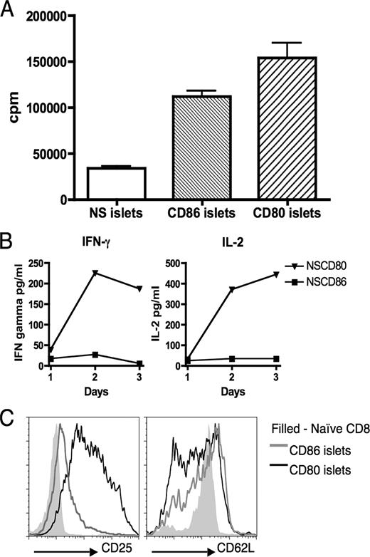 FIGURE 5. In vitro activation of insulin-reactive CD8 T cells by CD80 results in enhanced proliferation, cytokine production, and change in expression of activation markers compared with CD86 stimulation. A, Naive insulin-reactive CD8 T cells proliferated to islets from all strains, but CD80 costimulation induced the highest level of proliferation in a 3-day culture, followed by CD86 stimulation. B, Levels of IL-2 and IFN-γ secretion were measured in supernatants taken from proliferation assays of insulin-reactive CD8 T cells cultured with NOD. scid-RIP-CD80 and NOD.scid-RIP-CD86 islets. C, Cell surface expression of activation markers CD25 and CD62L were measured 2 days after insulin-reactive CD8 T cells were activated by both NOD.scid-RIP-CD80 and NOD.scid-RIP-CD86 islets. Filled histograms represent naive ex vivo insulin-reactive CD8 T cells. Results are representative of three similar assays.