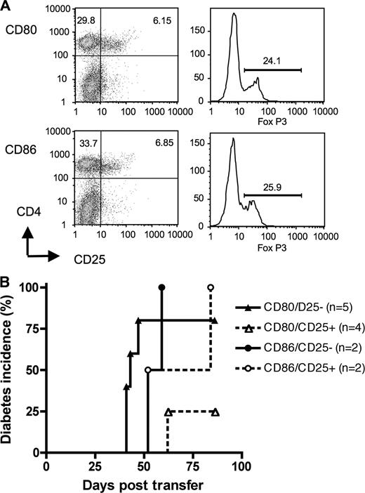 FIGURE 8. CD4+CD25+ depletion of CD80-stimulated splenocytes restores the ability to cause diabetes. A, Splenocytes from 6-wk-old NOD mice were adoptively transferred into NOD.scid-RIP-CD80 and NOD.scid-RIP-CD86 mice. When the mice became diabetic, the splenocytes were harvested and stained for CD4+CD25+ and FoxP3+ cells. Top panels, Representative cells from NOD.scid-RIP-CD80 mice; lower panels, cells from NOD.scid-RIP-CD86 mice. B, The splenocytes were depleted of CD4+CD25+ T cells (>80% depleted) and then adoptively transferred to NOD.scid mice which were observed for diabetes. These were compared with cells that had not been depleted of CD4+CD25+ cells. The results shown for the transfer from diabetic NOD.scid-RIP-CD80 mice are combined from two separate experiments.