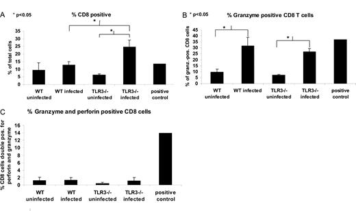FIGURE 4. TLR3−/− and WT mice produce similar quantities of activated CTLs in response to vaccinia infection. Mice (n = 3/genotype) were infected i.n. with 1 × 104 PFU Vac-FL, and CD8 T cells in the lung were analyzed by flow cytometry 7 days postinfection. A, CD8+ cells, expressed as a percent of total cells. B, Granzyme-positive cells, expressed as a percent of CD8+ cells. C, Granzyme and perforin double-positive cells, expressed as a percent of CD8+ cells. Error bars denote SEM. ∗, Significant differences between genotypes (p < 0.05). Positive control, Splenocytes stimulated in vitro for 4 days with IL-2.