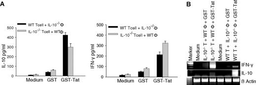 FIGURE 6. Tat induces IL-10 from naive T cells and macrophages. T cells isolated from naive IL-10-deficient mice were cocultured with peritoneal macrophages from WT mice and stimulated with GST and GST-Tat. In the same experiment, T cells were isolated from naive C57BL/6 mice and cocultured with peritoneal macrophages isolated from IL-10-deficient mice and stimulated with GST and GST-Tat for 12 h. After incubation, culture supernatants were used for cytokine ELISA and cells were used for preparation of RNA. A, Analysis of IFN-γ and IL-10 in culture supernatants by ELISA in cocultures indicated. B, RT-PCR analysis for IFN-γ and IL-10 gene. Lane 1, Marker; lane 2, medium; lane 3, IL-10−/− T cells + WT macrophage + GST; lane 4, IL-10−/− T cells + WT macrophage + GST-Tat; lane 5, medium; lane 6, WT T cells + IL-10−/− macrophage + GST; and lane 7, WT T cells + IL-10−/−macrophage + GST-Tat.