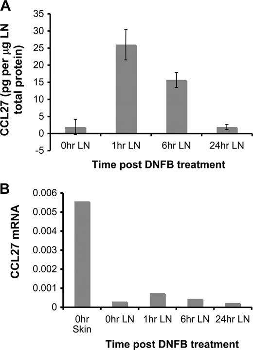 FIGURE 2. CCL27 protein, but not mRNA, rapidly increases following exposure of skin to DNFB. CCL27 protein (A) and mRNA (B) was measured by ELISA and RT-PCR, respectively in pooled axillary and brachial LN draining dorsal back skin that had been treated with 0.5% DNFB in olive oil/acetone.