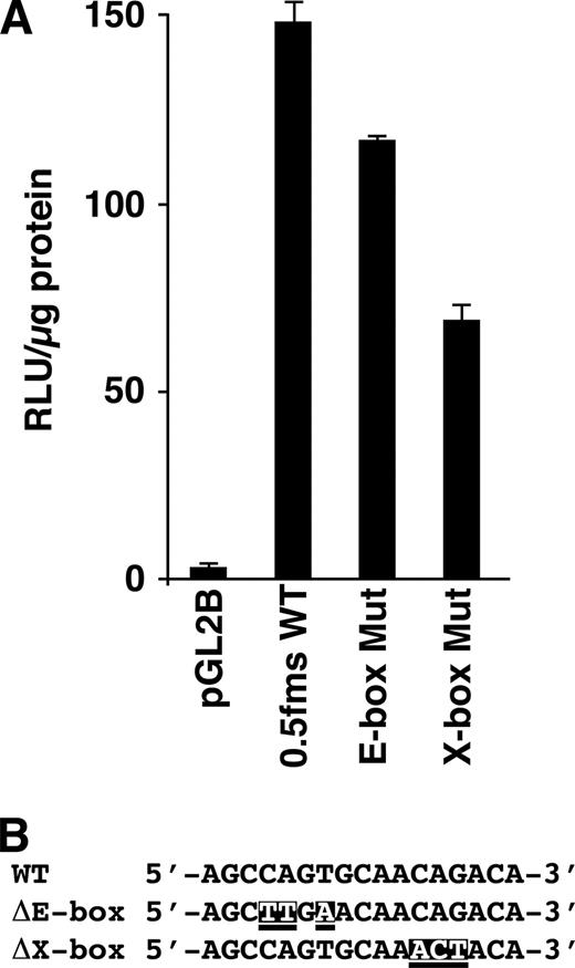 FIGURE 10. A, Stable transfection analysis of wild-type or mutated 0.5-kb csf1r-luciferase reporter constructs in the RAW264.7 macrophage cell line. Ten micrograms of reporter plasmid was transfected in the presence of 2 μg pMC1Neo resistance plasmid, and pools of stable transfectants were selected for 7 days with G418 as reported in Methods and Materials. Equivalent cell numbers of the pooled stables were then plated overnight and assayed for luciferase activity. The results shown are the means of two independent experiments performed in triplicate, with the range of the data varying by <10% from the means. B, Mutations in the promoter region of the transfected luciferase reporter constructs.