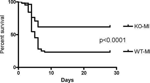 FIGURE 7. Survival rates after myocardial infarction. To determine survival after MI, WT-MI, and KO-MI mice were observed for 28 days (n = 60 per group).