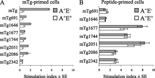 FIGURE 1. Five mTg-derived peptides are immunogenic in A+E− and A+E+ mice. A, A+E− or A+E+ mice were depleted of Tregs by injection of 1 mg CD25 mAb 14 and 10 days before immunization with mTg-CFA. LNC (6 × 105 cells plus 4 × 105 irradiated SC/well) were harvested at day 10 and cultured with indicated Ags for 5 days before proliferation was assessed by [3H]thymidine incorporation (background cpm 590-1400 ± 150–850). B, A+E− and A+E+ mice were immunized with the indicated peptide in CFA and lymph nodes were removed on day 10. LNC were cultured with mTg-derived peptides (10 μg/ml) for 5 days and proliferation was determined by [3H]thymidine incorporation (background cpm 1100–3300 ± 30–340).