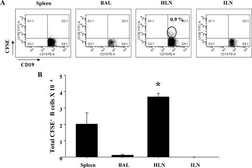 FIGURE 5. Adoptively transferred LIT HLN B cells migrated to sites of inflammation. CFSE-labeled LIT HLN B cells (1 × 106) were injected i.v. into OVA-sensitized mice before OVA aerosol challenge. A, After 7 days of OVA aerosol exposure, CFSE+ B cells were found only at local sites (HLN) of recipient animals. B, Total numbers of CFSE+ B cells were significantly increased in regional draining lymph nodes (HLN) but were absent in BAL and inguinal lymph nodes (ILN) (*, p < 0.05 vs other groups).