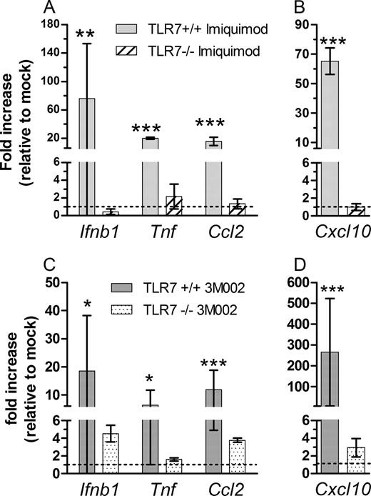 FIGURE 8. Influence of TLR7 deficiency on cytokine and chemokine mRNA expression following imiquimod (A and B) or 3M002 (C and D) inoculation. TLR7 wild-type/homozygous-positive (+/+, +) or heterozygous positive (+/−) or TLR7-deficient mice were inoculated as described Fig. 1. Brain tissues were removed at 12 hpi, processed, and analyzed as described in Fig. 1. Data are the mean ± SD for three to four mice per group and are representative of two replicate experiments. Statistical analysis was completed by one-way ANOVA with the Newman-Keuls post test. *, p < 0.05; **, p < 0.01; and ***, p < 0.001.