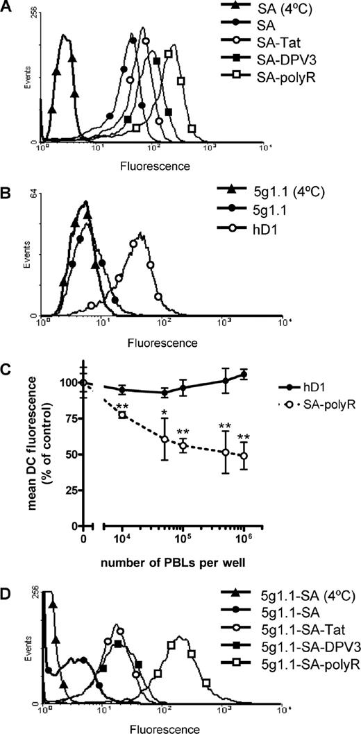 FIGURE 2. CPPs target SA and Ab to DCs. The capacity of CPPs to target SA and SA conjugated to the 5g1.1 Ab to DCs was determined by flow cytometric analysis. A, iDCs were incubated for 1 h with fluorescently labeled SA at 4 (▴) or 37°C (•) or with fluorescently labeled SA-Tat (○), SA-DPV3 (▪), or SA-polyR (□) at 37°C. Subsequently, cells were washed and analyzed (B) iDCs were incubated for 1 h with fluorescently labeled 5g1.1 at 4 (▴) or 37°C (·), or with fluorescently labeled hD1 (○) at 37°C. Subsequently, cells were washed and analyzed. C, Fluorescently labeled SA-polyR and anti-DC-SIGN Ab hD1 were first incubated with increasing numbers of PBLks and than transferred to wells containing 5 × 104 iDCs. Prior exposure to increasing numbers of PBLks decreased the amount of SA-polyR associating with iDCs while it did not affect the amount of hD1 associating with iDCs. ∗, p < 0.05; ∗∗, p < 0.01; significant difference from hD1 according to Student's t test. D, iDCs were incubated for 1 h with fluorescently labeled 5g1.1-SA at 4 (▴) or 37°C (•) or incubated with fluorescently labeled 5g1.1-SA-Tat (○), 5g1.1-SA-DPV3 (▪), or 5g1.1-SA-polyR (□) at 37°C. Subsequently, cells were washed and analyzed.